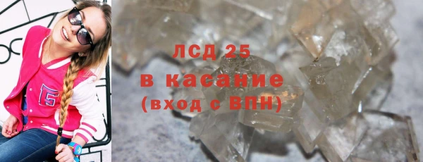 гашик Алексин