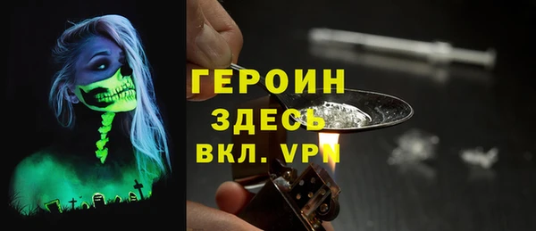 гашик Алексин