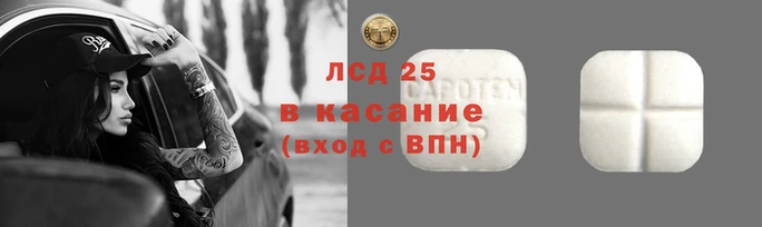 крисы Алзамай