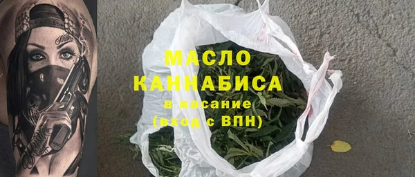гашик Алексин