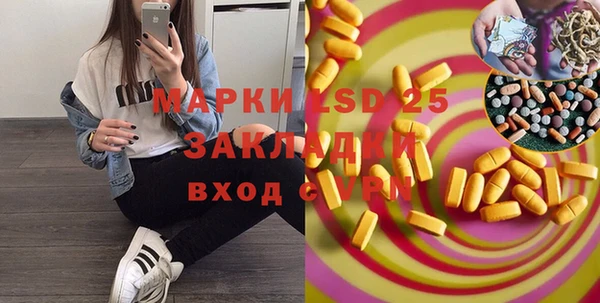 крисы Алзамай