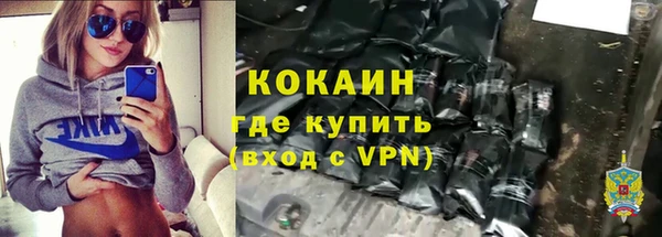 крисы Алзамай