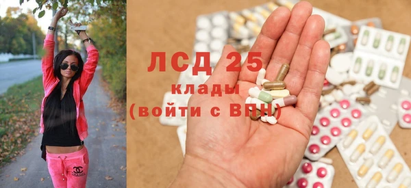 крисы Алзамай