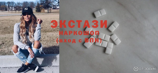 гашик Алексин