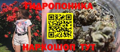 ALPHA PVP Ирбит