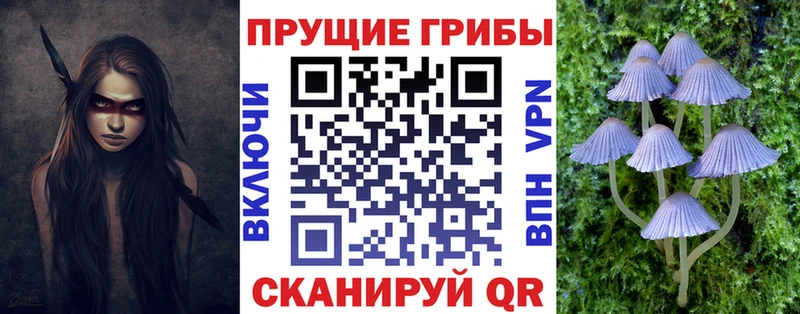 Псилоцибиновые грибы GOLDEN TEACHER хочу наркоту Казань