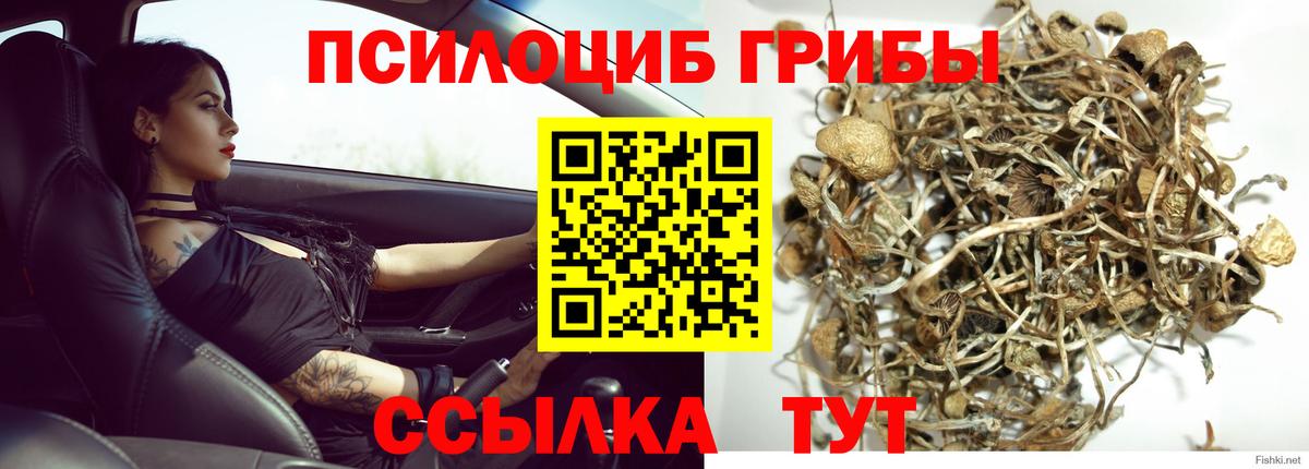 Псилоцибиновые грибы MAGIC MUSHROOMS  Вход с VPN  Казань 