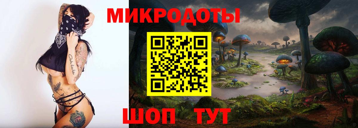 Псилоцибиновые грибы мухоморы Казань